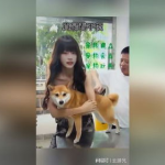小姐姐我的小狗英文,Adventures with My adorable Puppy: A Heartwarming Tale