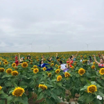 鲜花儿写真,鲜花儿写真里的自然之美