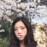 贝壳遇见小姐姐,浪漫邂逅小姐姐的温馨故事